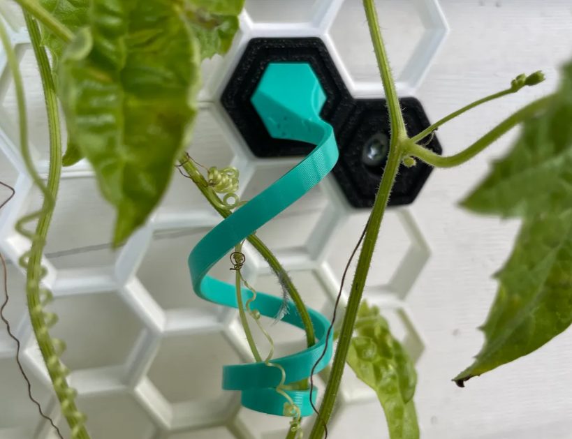 Flexible Plant Hook