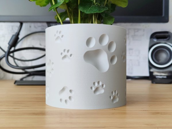 Animal Paw Plant pot and Planter - Vase mode design