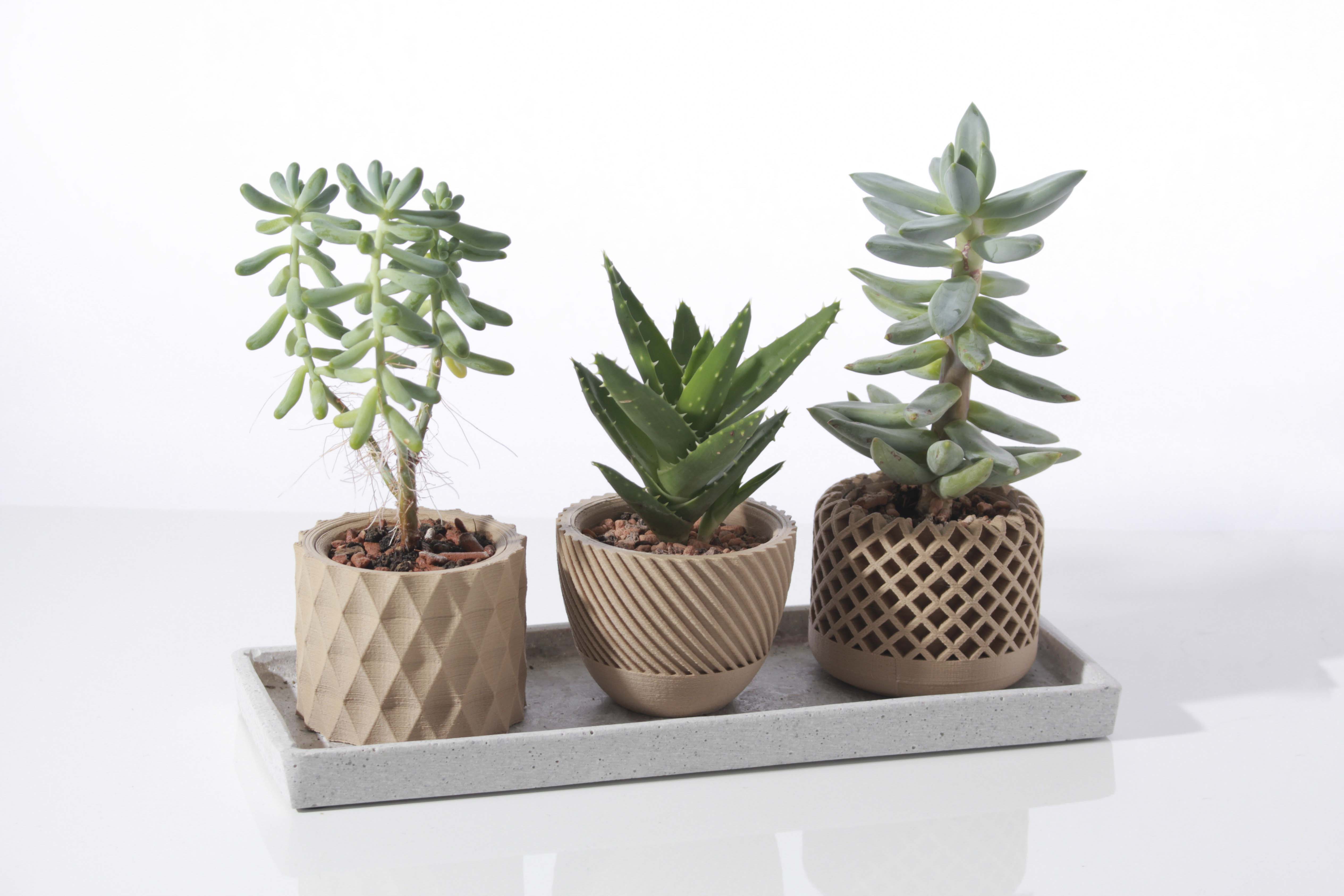 Modern geometric succulent plant pot