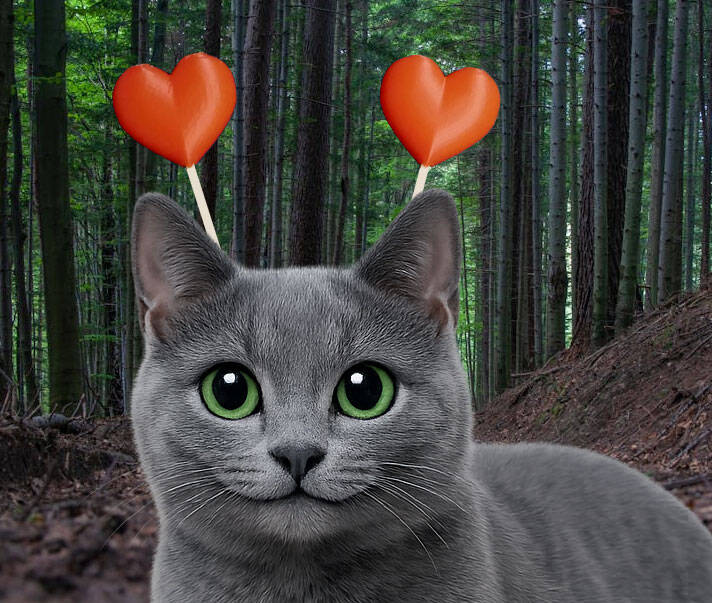 Cat-Dog Collar Valentine Hearts