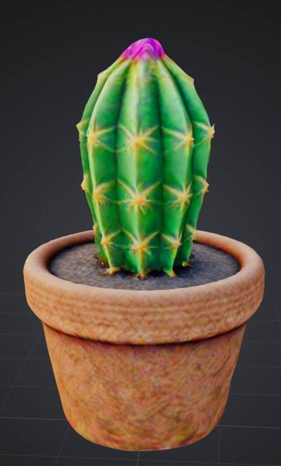 cute cactus