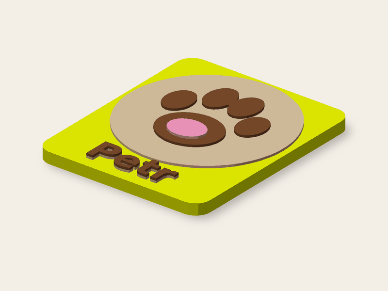 Huella sobre un rectángulo de 45 × 54 mm con el nombre Petr.